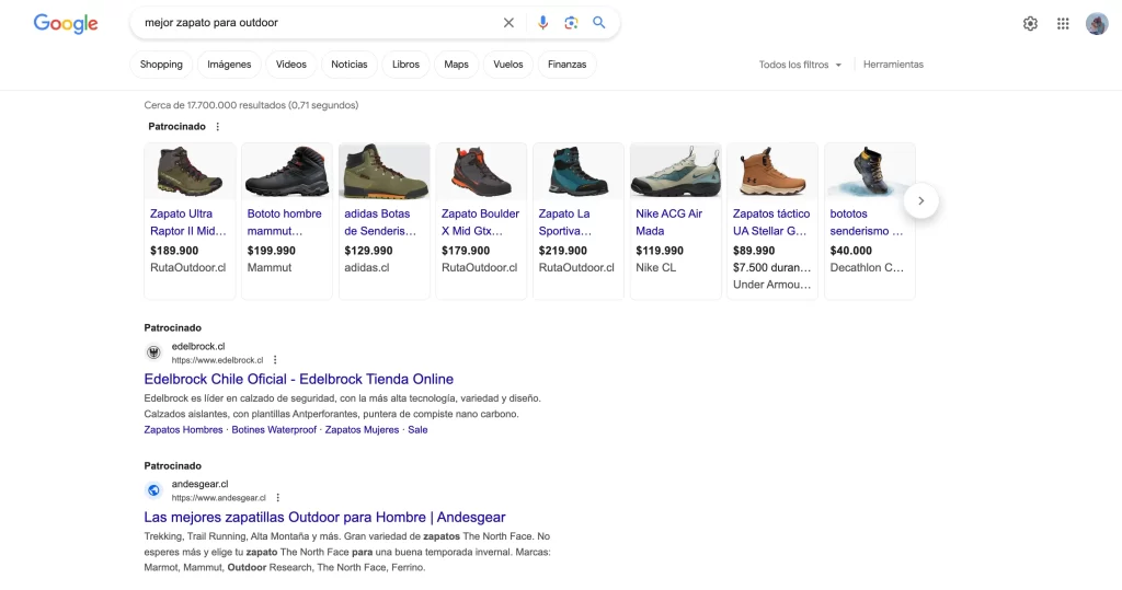 Busqueda Google Ads